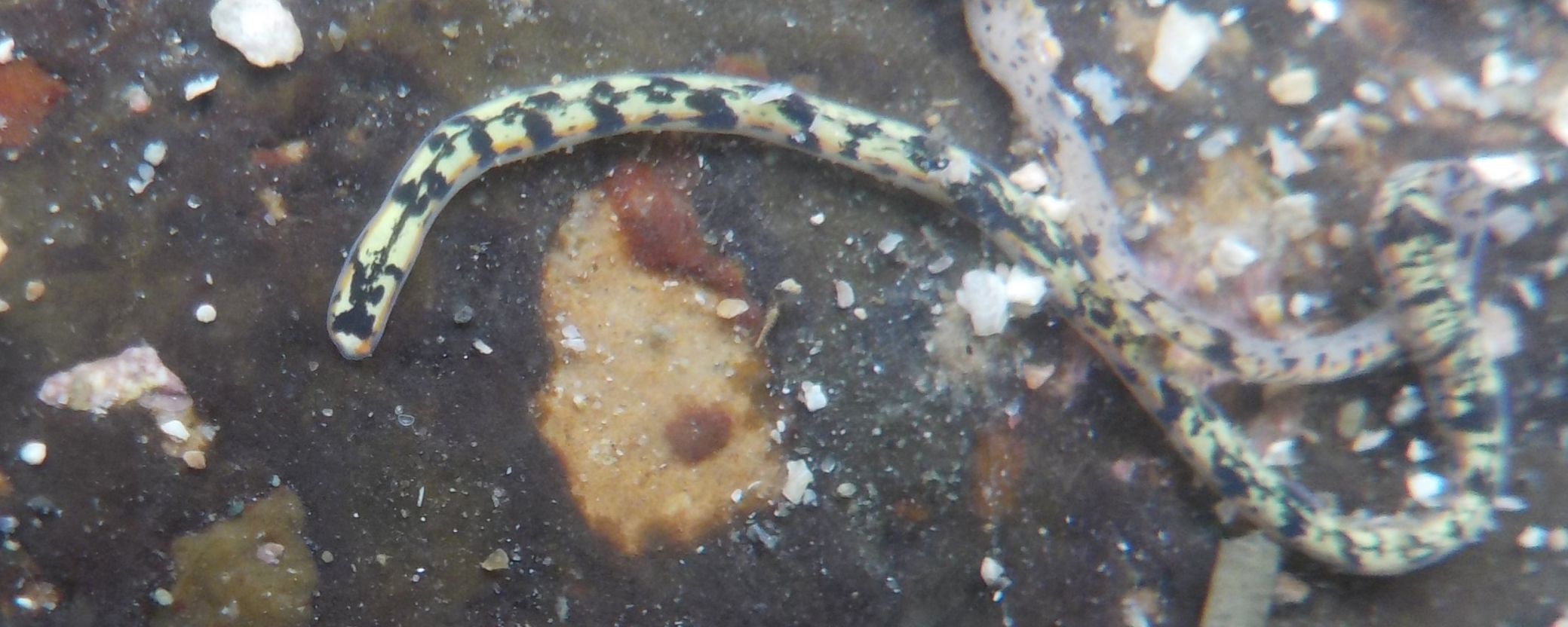 質問・ご相談はユーザーズフォーラムへ